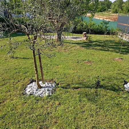 Apartman Jenny-Porec Kosinozici Bagian luar foto
