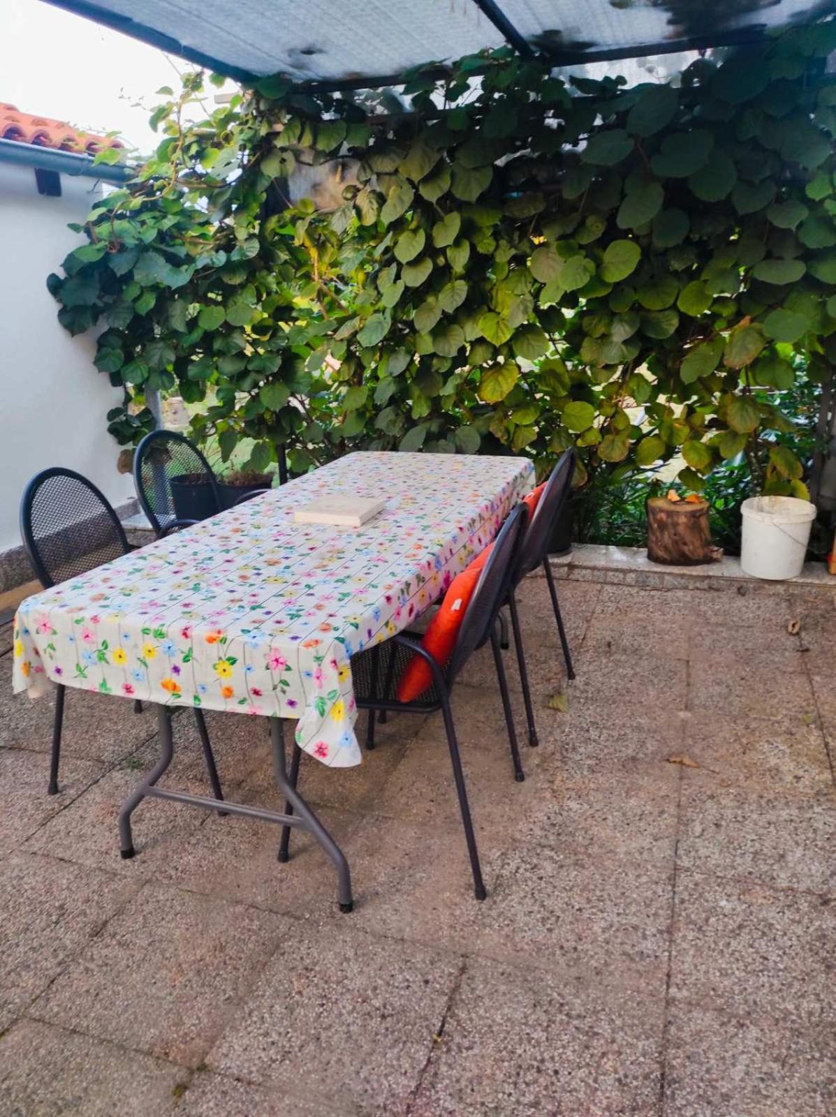 Apartman Jenny-Porec Kosinozici Bagian luar foto