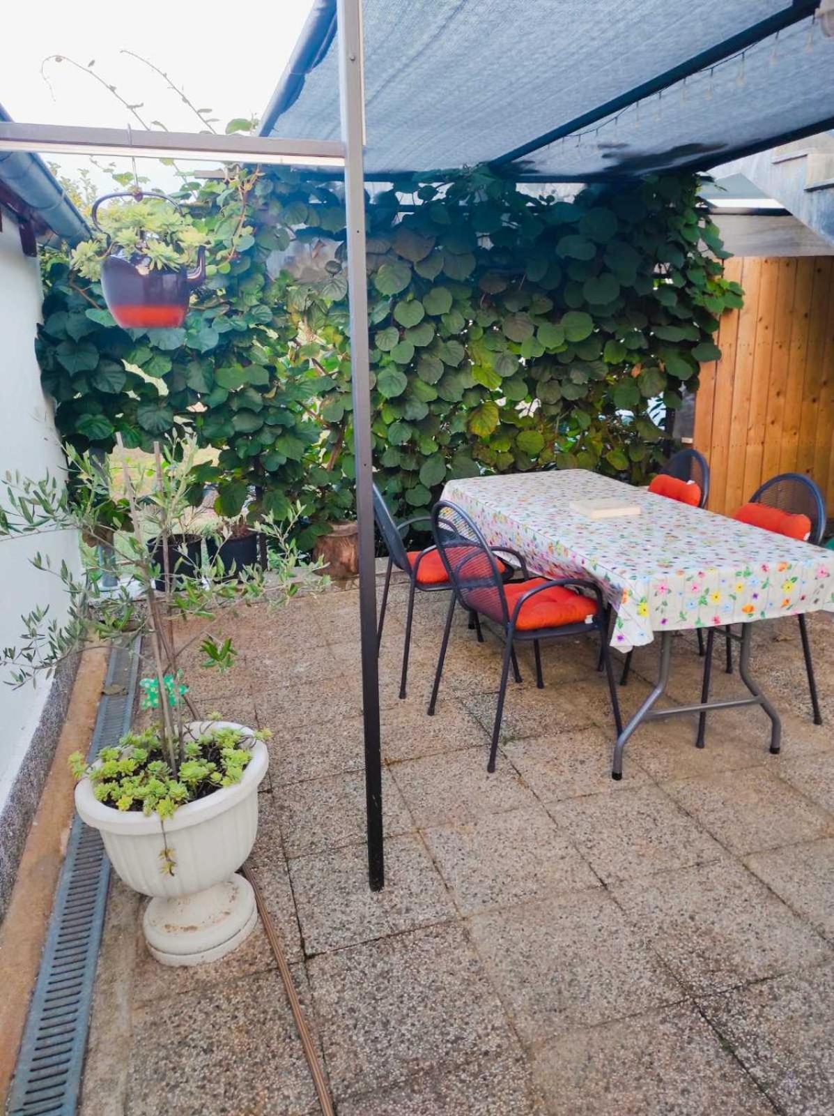 Apartman Jenny-Porec Kosinozici Bagian luar foto